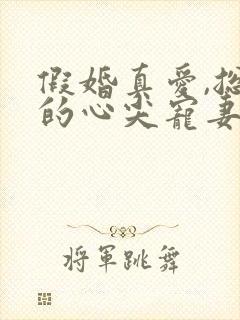 假婚真爱,总裁的心尖宠妻小说