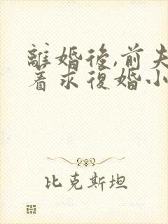 离婚后,前夫哭着求复婚小说全文阅读免费