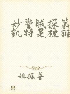 妙警贼探第一季凯特是被谁抓走的