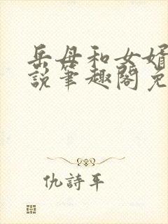 岳母和女婿的小说笔趣阁免费阅读