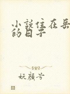 小说住在岳母家的日子封面