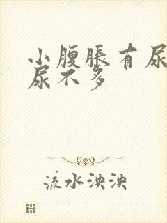 小腹胀有尿意却尿不多