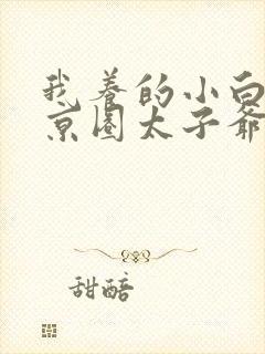 我养的小白脸是京圈太子爷大结局封面
