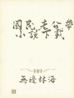 国民老公带回家 小说下载