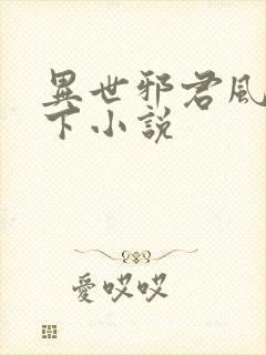 异世邪君风凌天下小说