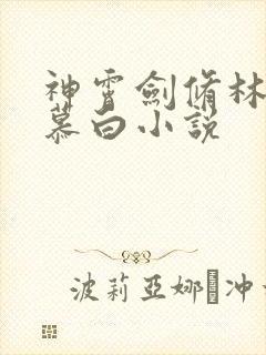 神霄剑修林枫苏慕白小说封面