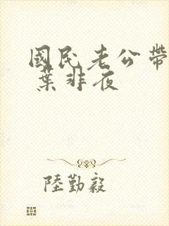 国民老公带回家 叶非夜