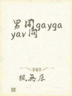 男同gaygayav网
