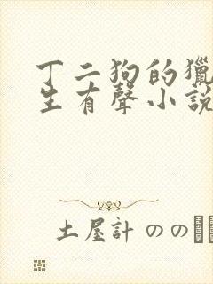 丁二狗的猎艳人生有声小说封面