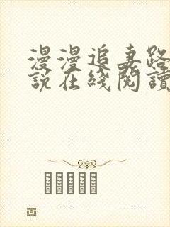 漫漫追妻路 小说在线阅读