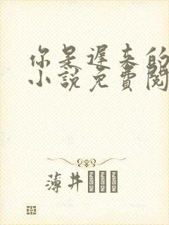 你是迟来的欢喜小说免费阅读无弹窗