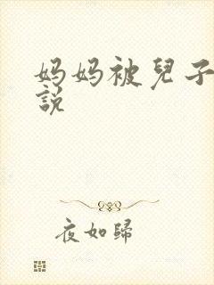 妈妈被儿子逼小说封面