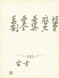 真爱惹麻烦电视剧全集免费观看