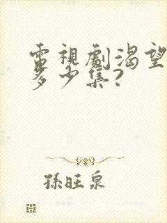 电视剧渴望共有多少集?