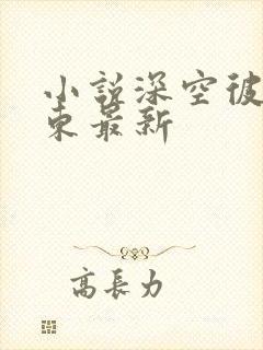 小说深空彼岸辰东最新