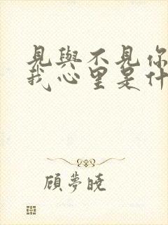 见与不见你都在我心里是什么歌