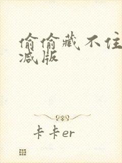 偷偷藏不住无删减版封面