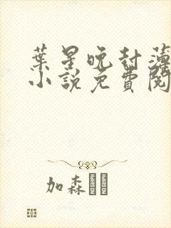 叶星晚封薄言的小说免费阅读封面