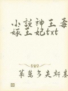 小说神王毒宠二嫁王妃txt