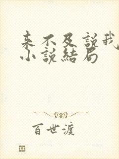 来不及说我爱你小说结局