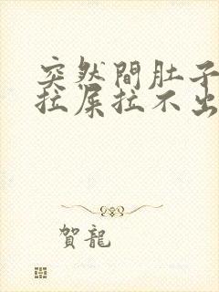 突然间肚子疼想拉屎拉不出来怎么回事