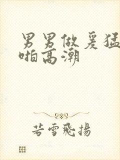 男男做爰猛烈啪啪高潮