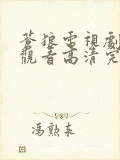 苍狼电视剧在线观看高清完整免费