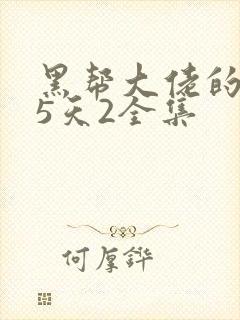 黑帮大佬的365天2全集封面