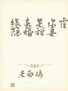 缘来是你霍少的隐婚甜妻