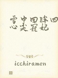 雪中回眸四爷的心尖宠妃