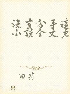 没有分手这回事小说全文免费阅读封面