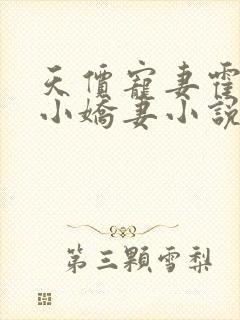 天价宠妻霍总的小娇妻小说