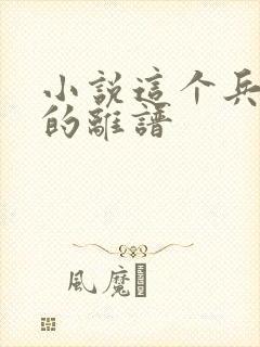 小说这个兵王强的离谱