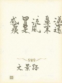 感冒流鼻涕有黄痰是风寒还是风热感冒