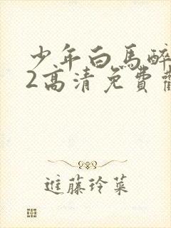 少年白马醉春风2高清免费观看