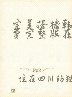 完美搭档韩剧免费完整版在线观看