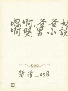 嗯啊,爸爸好爽啊双男小说封面