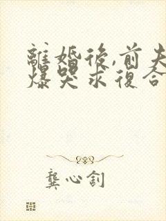 离婚后,前夫他爆哭求复合