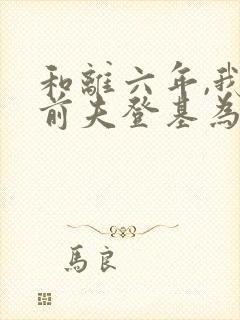 和离六年,我的前夫登基为帝了