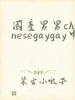 国产男男chinesegaygay中国帅哥网站