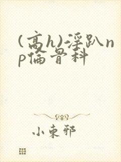 (高h)淫趴np伦骨科