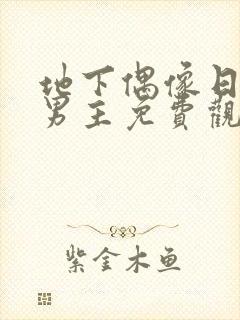 地下偶像日漫双男主免费观看