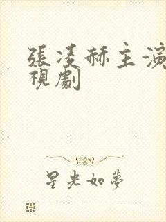 张凌赫主演的电视剧