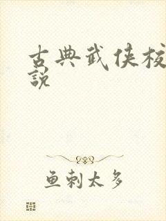 古典武侠校园小说