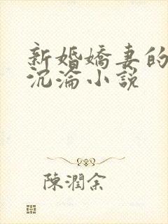 新婚娇妻的地狱沉沦小说封面