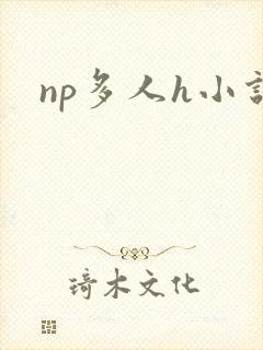 np多人h小说封面
