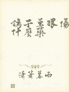 鸽子单眼伤风喂什么药封面