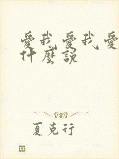 爱我爱我爱我凭什么说封面