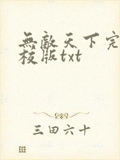 无敌天下完整精校版txt封面