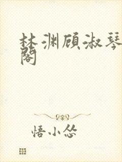 林渊顾淑琴笔趣阁